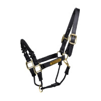 Kontrollhalfter Kentucky Schwarz
