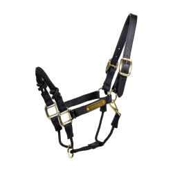 Kontrollhalfter Kentucky Schwarz