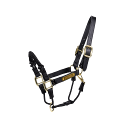 Kontrollhalfter Kentucky Schwarz