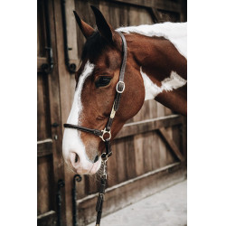 Putzhalfter aus Leder Kentucky Putzhalfter aus Leder Kentucky