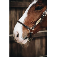 Putzhalfter aus Leder Kentucky Braun