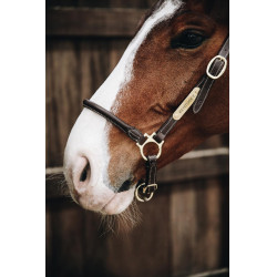 Putzhalfter aus Leder Kentucky Putzhalfter aus Leder Kentucky