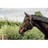 Licol Flexible Kentucky Marron