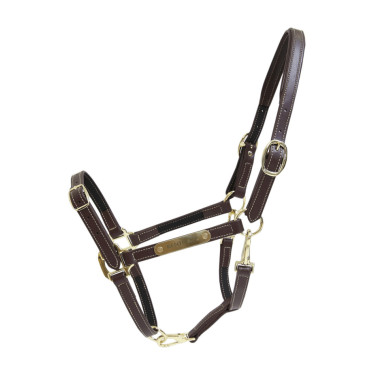 Flexibler Halfter Kentucky Braun Flexibler Halfter Kentucky Braun