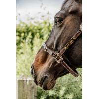 Flexibler Halfter Kentucky Braun