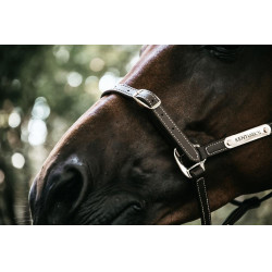 Flexibler Halfter Kentucky Braun