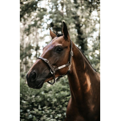 Flexibler Halfter Kentucky Braun