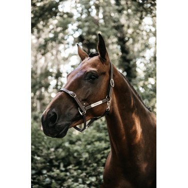 Flexibler Halfter Kentucky Flexibler Halfter Kentucky