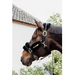 Nylonhalfter Schaf Soft Kentucky Nylonhalfter Schaf Soft Kentucky