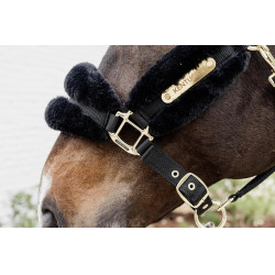 Nylonhalfter Schaf Soft Kentucky Nylonhalfter Schaf Soft Kentucky