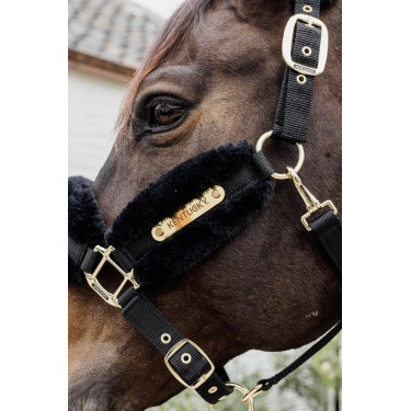 Nylonhalfter Schaf Soft Kentucky Nylonhalfter Schaf Soft Kentucky
