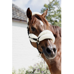 Nylonhalfter Schaf Soft Kentucky Nylonhalfter Schaf Soft Kentucky
