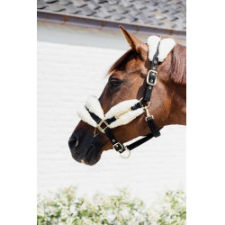 Nylonhalfter Schaf Soft Kentucky Nylonhalfter Schaf Soft Kentucky