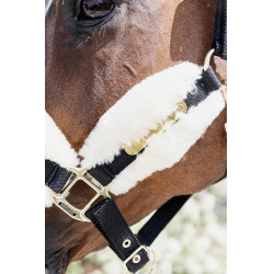 Nylonhalfter Schaf Soft Kentucky Nylonhalfter Schaf Soft Kentucky