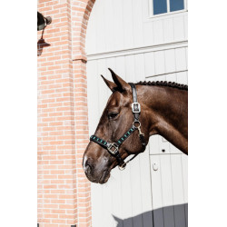Halfter Pearls Kentucky Schwarz Halfter Pearls Kentucky Schwarz