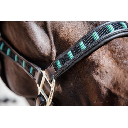 Halfter Pearls Kentucky Schwarz Halfter Pearls Kentucky Schwarz