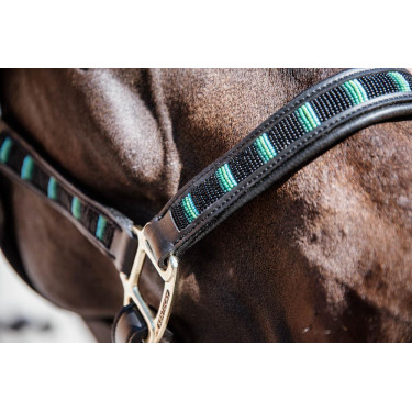 Halfter Pearls Kentucky Schwarz Halfter Pearls Kentucky Schwarz