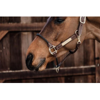 Lederhalfter Rope Kentucky Braun