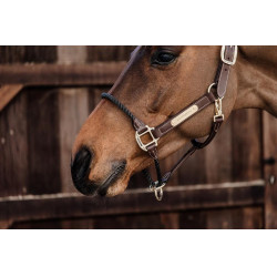 Lederhalfter Rope Kentucky Braun