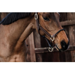 Lederhalfter Rope Kentucky Braun