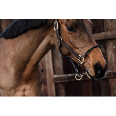Lederhalfter Rope Kentucky Lederhalfter Rope Kentucky