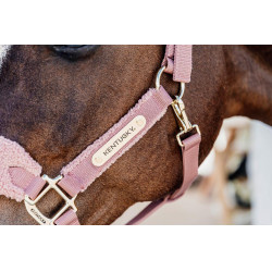 Halfter Teddy Fleece Kentucky Altrosa