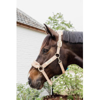 Halfter Teddy Fleece Kentucky Altrosa