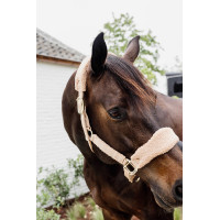 Halfter Teddy Fleece Kentucky Altrosa