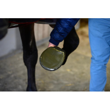 Schutzgamasche Kentucky Schutzgamasche Kentucky