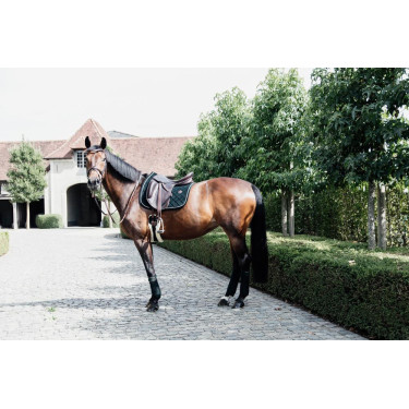 Polar Fleece Polobanden Kentucky Tannengrün Grün Polar Fleece Polobanden Kentucky Tannengrün Grün