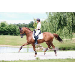 Geschlossene Gamaschen Leder vorne Kentucky Braun