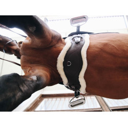 Anatomischer Kurzgurt Schaffell Kentucky Braun Anatomischer Kurzgurt Schaffell Kentucky Braun