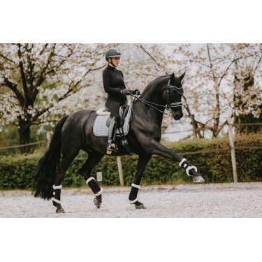 Satteldecke Hahnentritt Dressur Kentucky Schwarz Satteldecke Hahnentritt Dressur Kentucky Schwarz