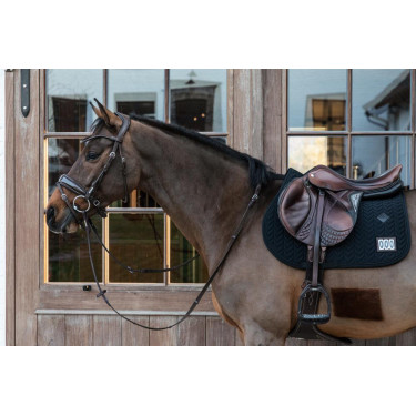 Satteldecke Fishbone Competition Jumping Kentucky Satteldecke Fishbone Competition Jumping Kentucky