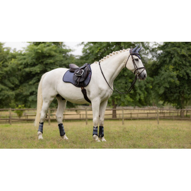 LeMieux Wildleder GP Square Schabracke Blauer Jay