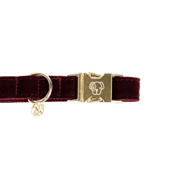 Collier pour chien Corduroy Kentucky Bordeaux Collier pour chien Corduroy Kentucky Bordeaux