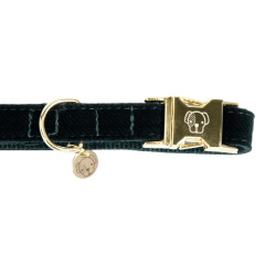 Corduroy-Hundehalsband Kentucky Tannengrün Gr&amp;amp;amp;amp;amp;amp;amp;amp;uuml;n