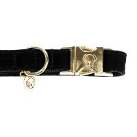 Collier pour chien Corduroy Kentucky Bordeaux