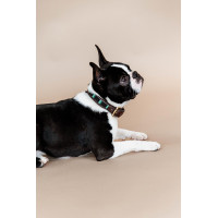 Handgefertigte Perlen-Hundehalsband Kentucky Schwarz