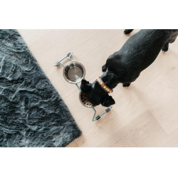 Collier pour chien en Perles faites-main Kentucky Orange Collier pour chien en Perles faites-main Kentucky Orange