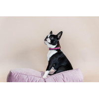 Handgefertigte Perlen-Hundehalsband Kentucky Pink Rosa