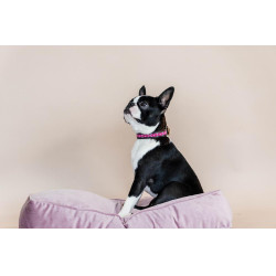 Handgefertigte Perlen-Hundehalsband Kentucky Pink Rosa