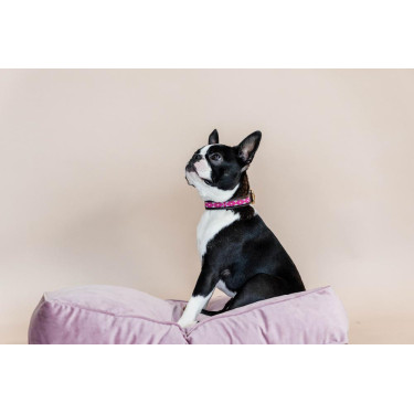 Handgefertigte Perlen-Hundehalsband Kentucky Pink Rosa