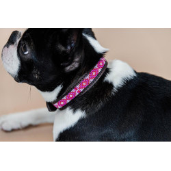 Handgefertigte Perlen-Hundehalsband Kentucky Pink Rosa Handgefertigte Perlen-Hundehalsband Kentucky Pink Rosa