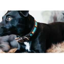 Handgefertigte Perlen-Hundehalsband Kentucky Hellblau
