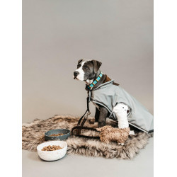 Handgefertigte Perlen-Hundehalsband Kentucky Hellblau