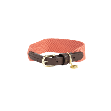 Jacquard-Hundehalsband Kentucky Jacquard-Hundehalsband Kentucky