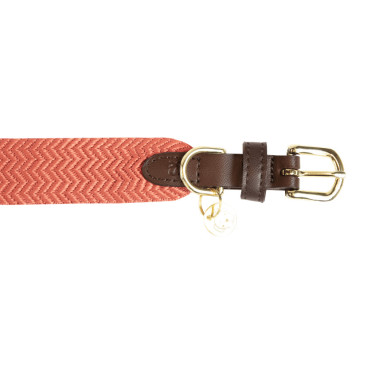 Jacquard-Hundehalsband Kentucky Terrakotta Orange
