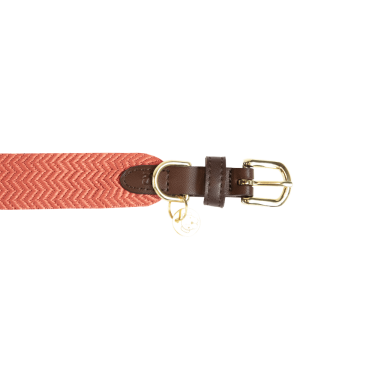 Jacquard-Hundehalsband Kentucky Jacquard-Hundehalsband Kentucky