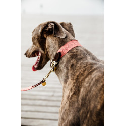 Jacquard-Hundehalsband Kentucky Terrakotta Orange Jacquard-Hundehalsband Kentucky Terrakotta Orange